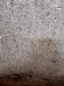 Snapshot of nagepalli chatting on 14, 11, 2025 nagepalli online show from 14, 11, 2025