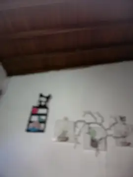 Solaangel  online show from 10, 2, 2026