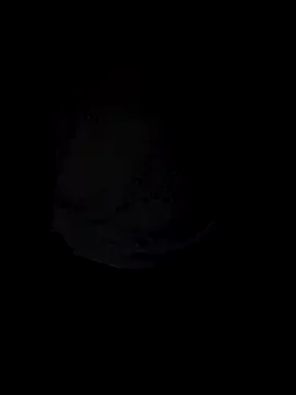 Curious9884 online show from 4, 10, 2025