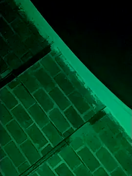 Buddha289 online show from 20, 3, 2026