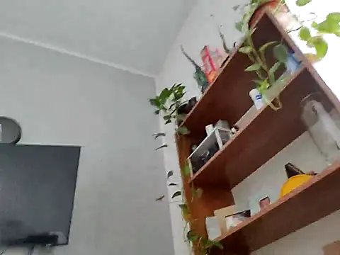 pasajuis online show from 2, 11, 2025