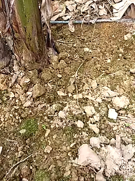 Snapshot of Sikici0734 chatting on 24, 2, 2026 Sikici0734 online show from 24, 2, 2026