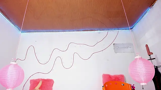 shannon kinne  online show from 12, 11, 2025