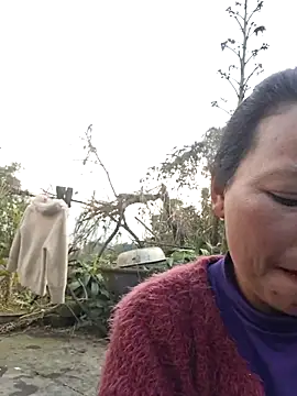 miomio-12 online show from 16, 2, 2026