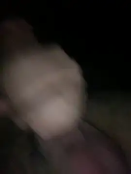 sertsikici20cm   online show from 12, 10, 2025