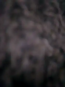 Ripe me online show from 10, 11, 2025