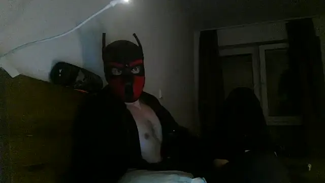 Snapshot of MolleDolle chatting on 3, 12, 2025 MolleDolle online show from 3, 12, 2025