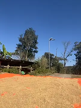 miemie-xx online show from 26, 11, 2025