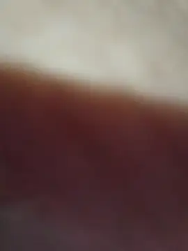 Snapshot of Ceroloco chatting on 3, 12, 2025 Ceroloco online show from 3, 12, 2025