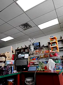 Cassaroll333 online show from 30, 11, 2025