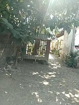 SL BEAR online show from 26, 3, 2026