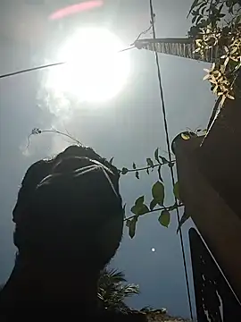 SL BEAR online show from 19, 4, 2026