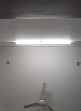 Snapshot of Anchal-8798 chatting on 8, 11, 2025 Anchal-8798 online show from 8, 11, 2025