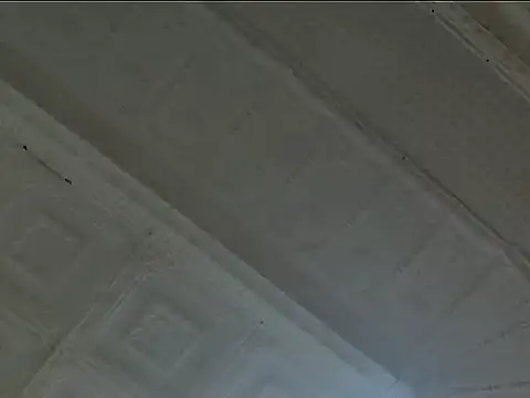 EsotericPaloma online show from 24, 10, 2025