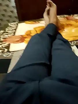 siddBus online show from 31, 10, 2025