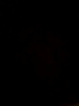 camilo44467 online show from 23, 11, 2025