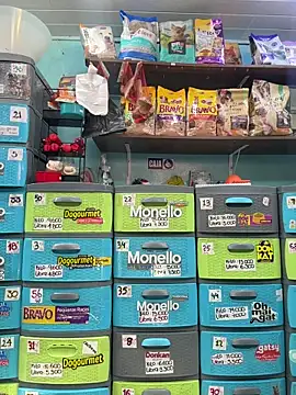 Snapshot of Lucy_699 chatting on 25, 2, 2026 Lucy 699 online show from 25, 2, 2026