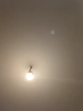 labellerose online show from 28, 4, 2026