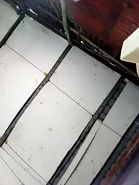 Cherry pusy99 online show from 27, 10, 2025