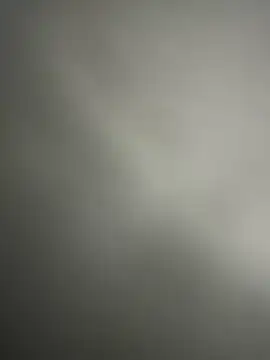 maru2050 online show from 29, 3, 2026