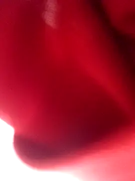 nalgastalla60 online show from 6, 2, 2026