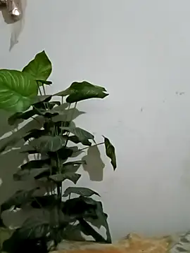 Jessica-03 online show from 5, 3, 2026