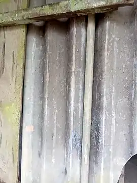 siusiu-00 online show from 25, 2, 2026