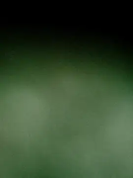 Vickyins480000 online show from 9, 4, 2026