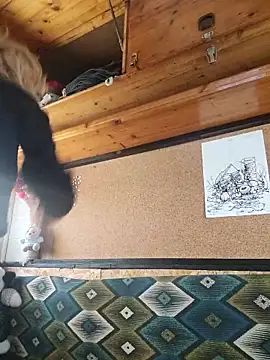 DeesseLilli online show from 18, 11, 2025