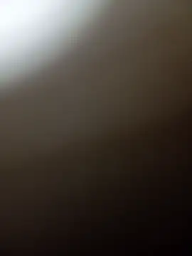 Taradinha pelosogro online show from 15, 2, 2026