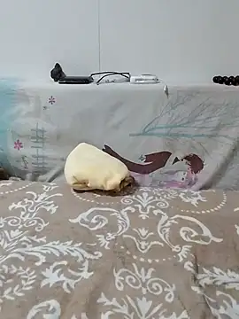 caige8888 online show from 17, 11, 2025