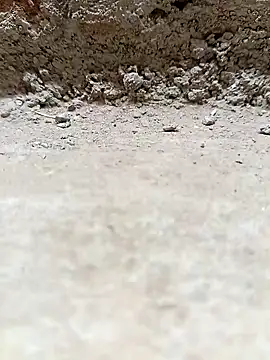 Rajni chauhan online show from 25, 3, 2026