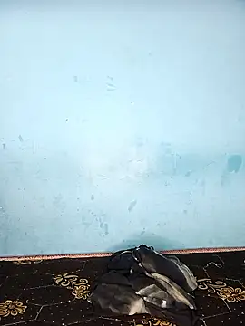 Deepa telugu online show from 29, 3, 2026