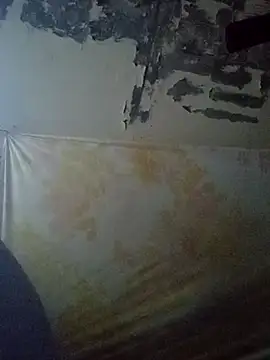 Cogelonregio online show from 27, 10, 2025