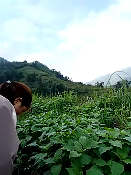 omai-ngot online show from 15, 11, 2025