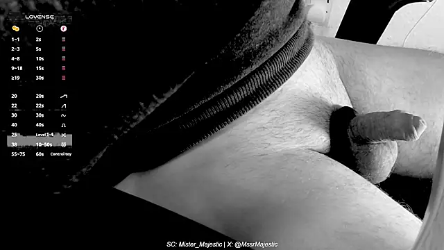 Mister Majestic online show from 19, 11, 2025