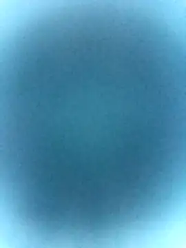 Snapshot of tabby-cat11 chatting on 19, 2, 2026 tabby-cat11 online show from 19, 2, 2026