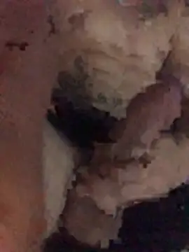 Snapshot of Osonhodelas chatting on 11, 1, 2026 Osonhodelas online show from 11, 1, 2026