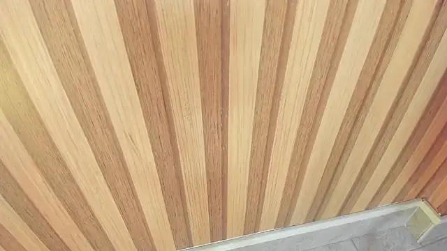 mia  blaze   online show from 11, 11, 2025