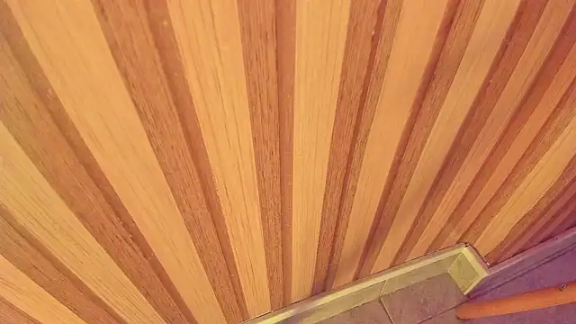 Snapshot of mia__blaze__ chatting on 15, 1, 2026 mia blaze online show from 15, 1, 2026