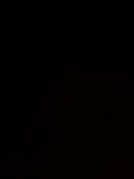 roludao fun online show from 17, 11, 2025