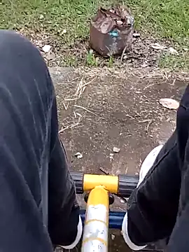 roludao fun online show from 9, 2, 2026