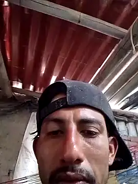 Orlao25cm online show from 17, 10, 2025