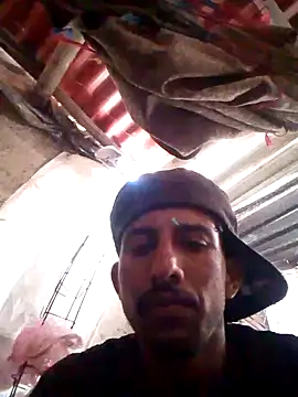 Orlao25cm online show from 20, 10, 2025