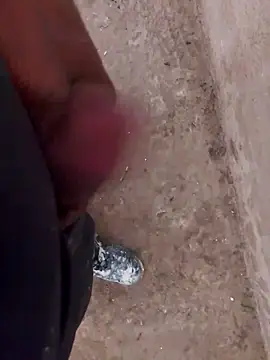 Orlao25cm online show from 12, 11, 2025