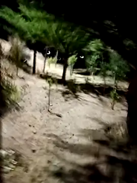 Snapshot of Labellasex chatting on 18, 12, 2025 Labellasex online show from 18, 12, 2025