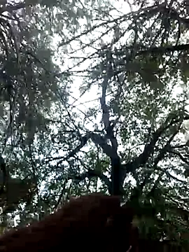 Snapshot of Labellasex chatting on 20, 12, 2025 Labellasex online show from 20, 12, 2025