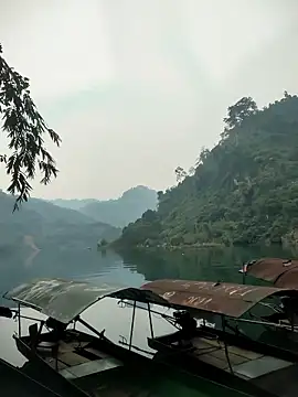 Squirrel-Pear online show from 14, 1, 2026