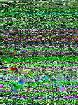 Snapshot of Dev2k22 chatting on 17, 12, 2025 Dev2k22 online show from 17, 12, 2025