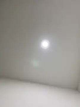 violeta365 online show from 12, 3, 2026